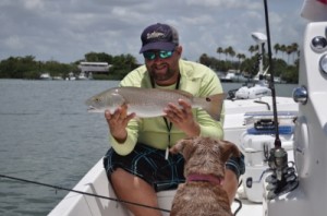 Another Redfish on artificial