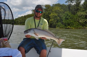Tampa bay redfish with Capt Jason Dozier