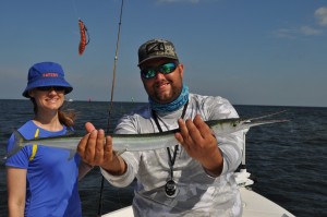 Houndfish caught with Capt. Jason Dozier of Chasing Tails charters in Tampa,Fl.