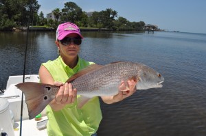 Bull redfish caught during the 2014 PHSC fishing tournament