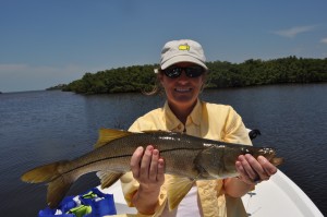 A snook caught with Capt. Jason Dozier during the PHSC tournament in 2014