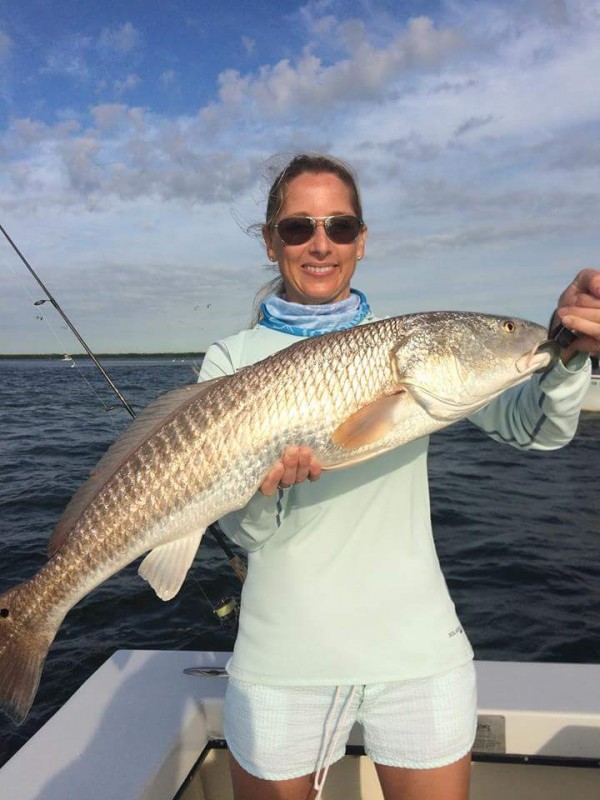 Tampa bay redfish with Capt Jason Dozier