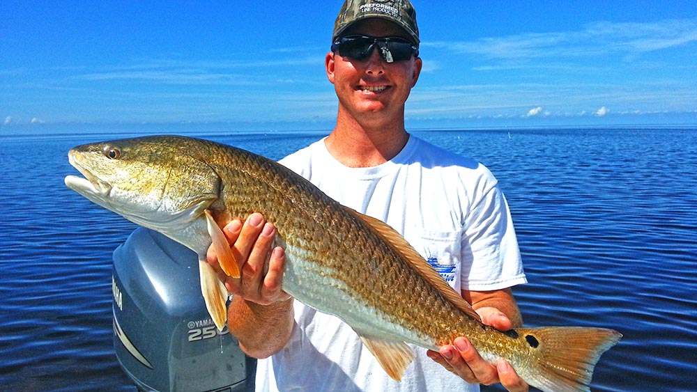 Tampa summer fishing