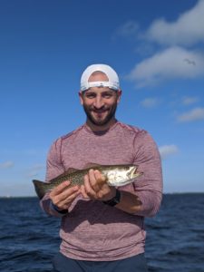 A picture of December Tampa Bay fishing Report with Fishn Fl.