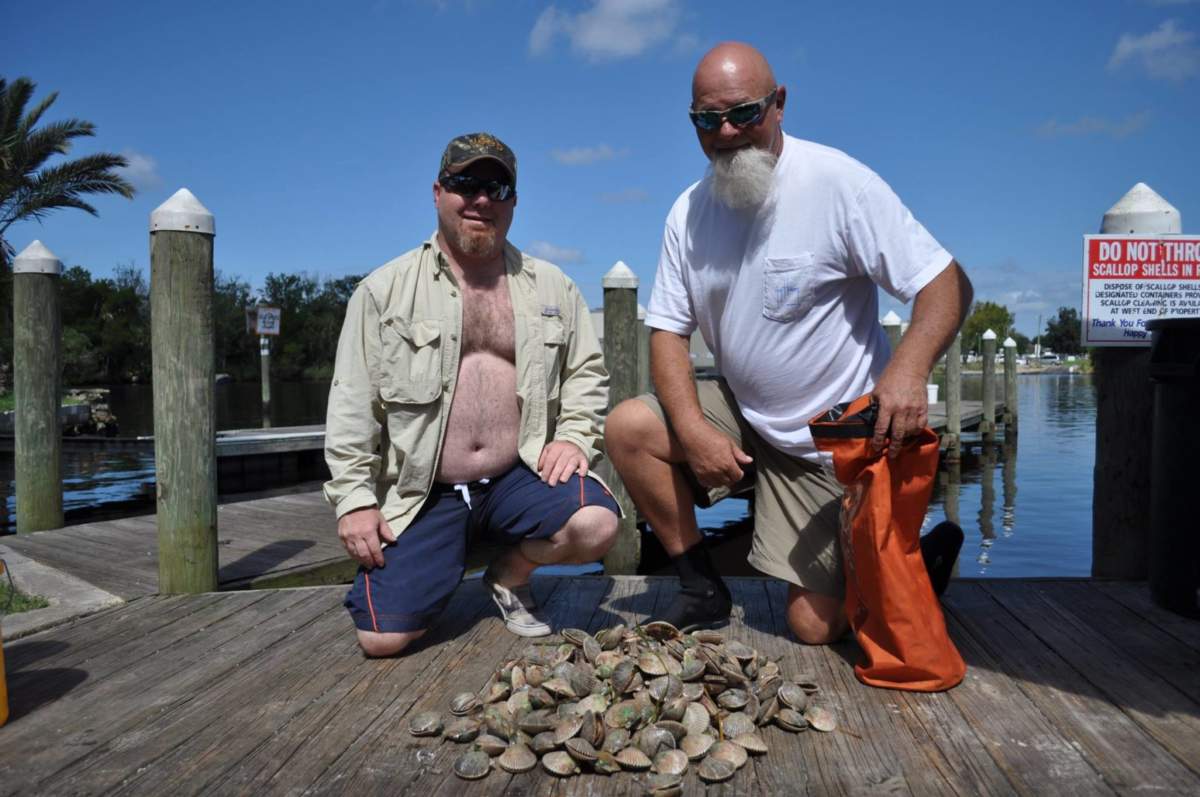 A picture of It's Scalloping Season in Homosassa: Catch the Fun! with Fishn Fl.