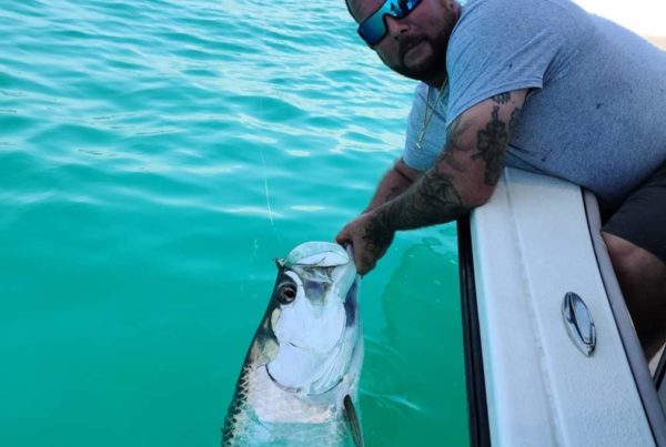 A picture of Tarpon Fishing Tips For Beginners with Fishn Fl.