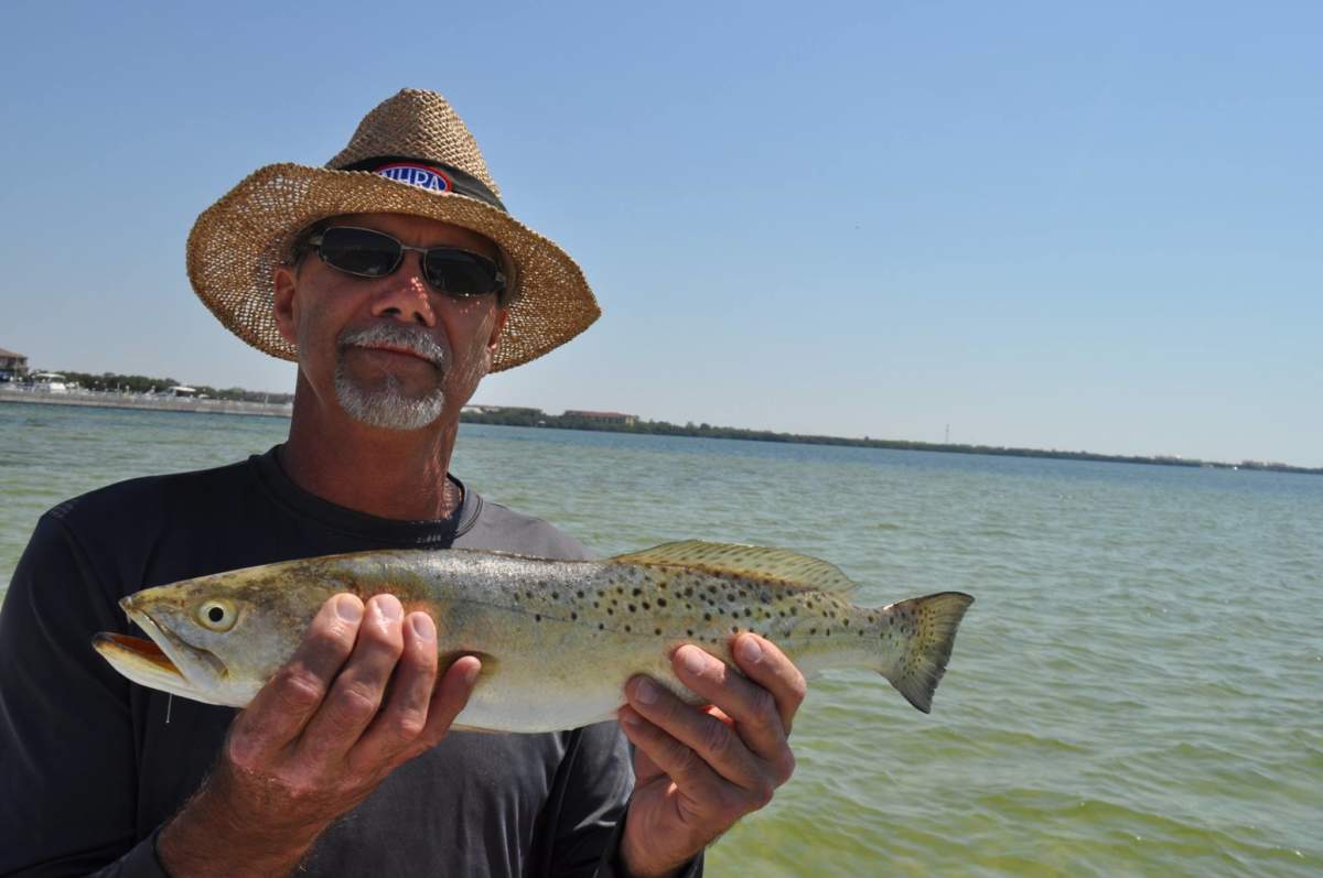 A picture of What's Biting In Tampa Bay In August with Fishn Fl.