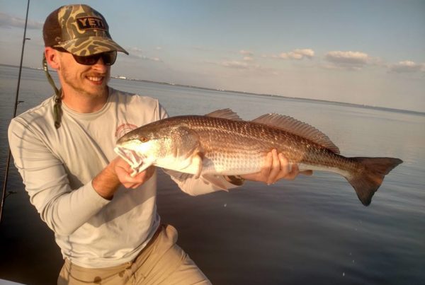 A picture of Targeting December Redfish In Tampa Bay with Fishn Fl.