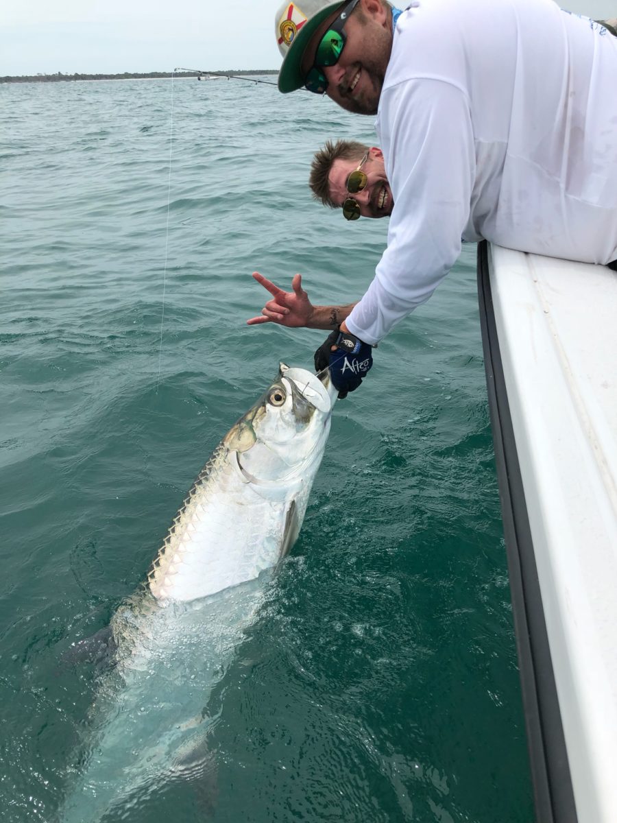 FISHING GIANT TARPON OF TAMPA BAY