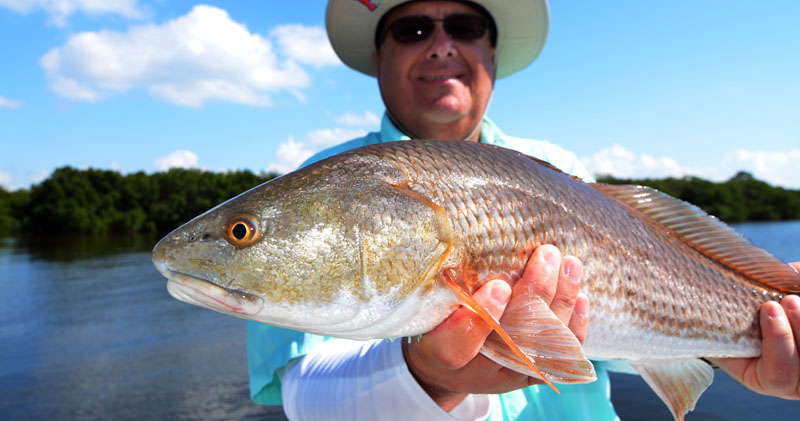 A picture of Port Richey, St. Petersburg, Tarpon Springs Fishing Charter Report with Fishn Fl.