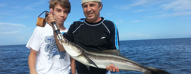 A picture of September Fishing Report - Tampa Bay and Port Richey with Fishn Fl.