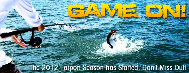 A picture of It's Time to Catch Tampa Bay Tarpon! with Fishn Fl.