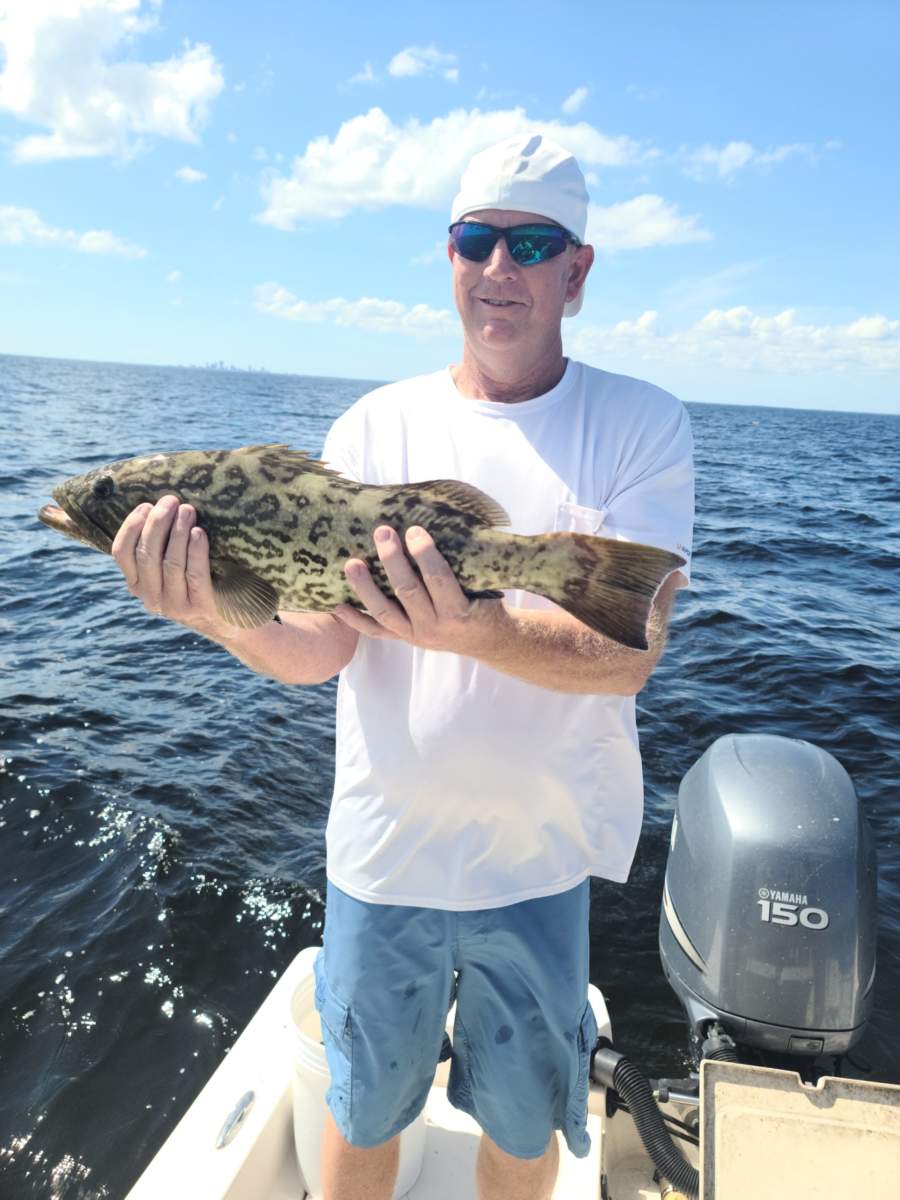 A picture of Species You Can Catch Offshore In Tampa Bay with Fishn Fl.