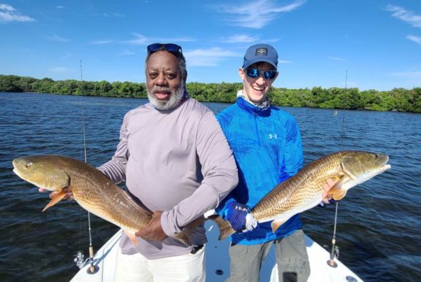 A picture of November 2nd 2021 Tampa fishing report with Fishn Fl.
