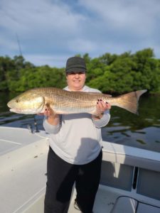 A picture of Unlocking Spring 2024 Inshore Fishing Secrets of Tampa Bay: A Guide to Snook and Redfish Success with Fishn Fl.