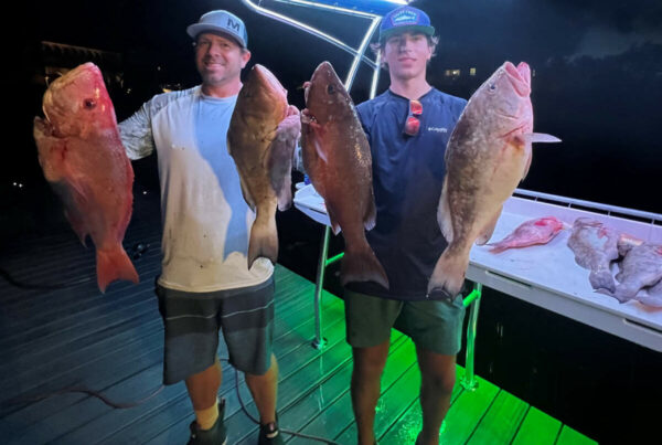 Everything You Need To Know - Tampa Fishing Charters