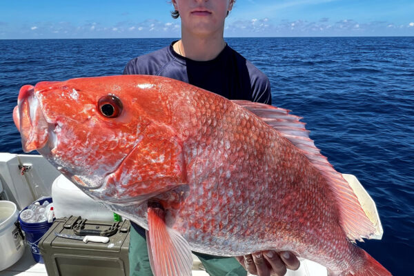 Tanner with a big Tampa offshore Red snapper while fishing offshore with FishnFL