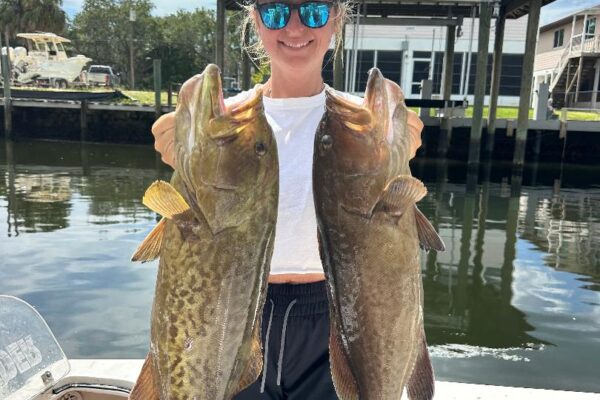 emmy with another nice haul of Tampa offshore gag groupers