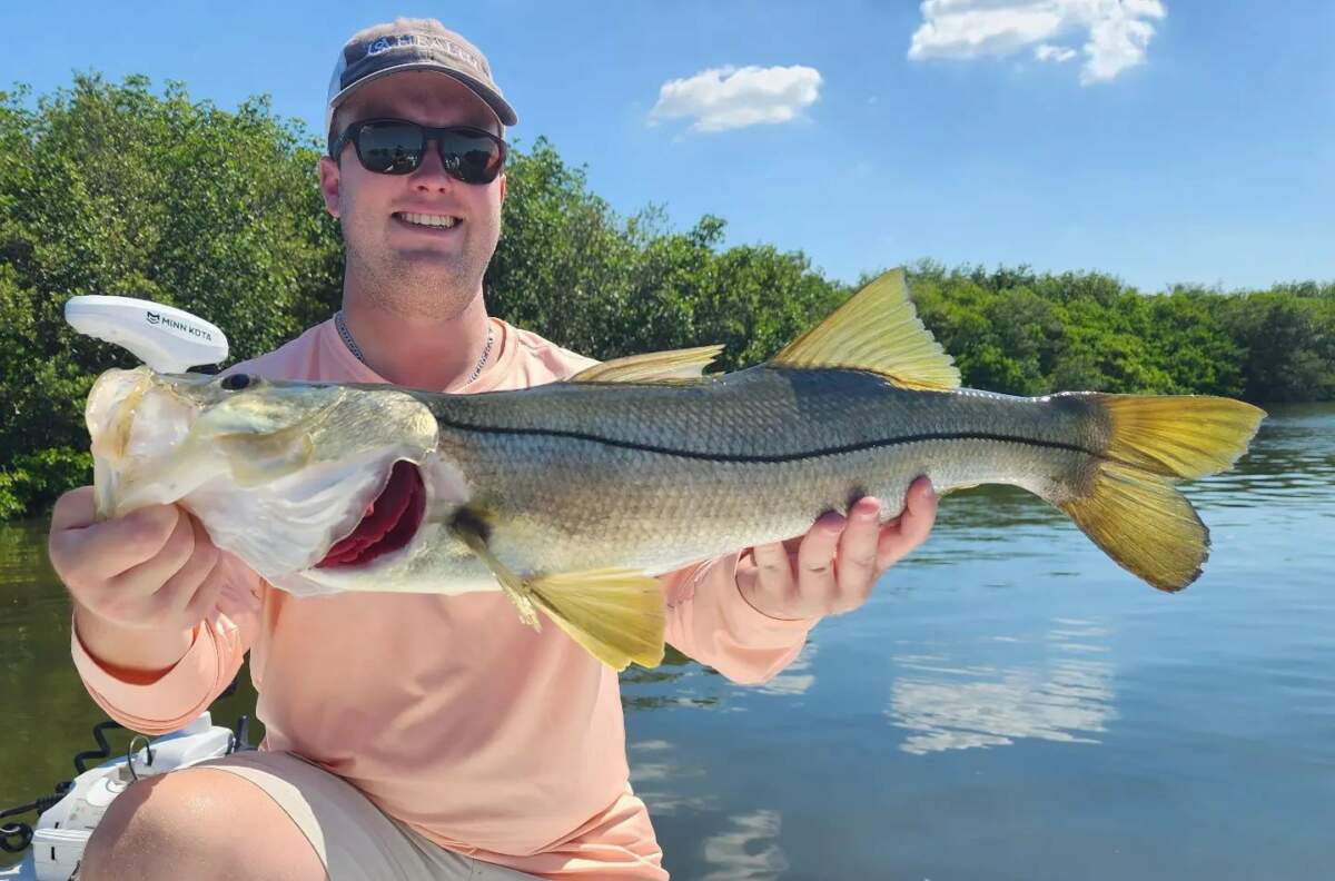 A picture of Snook Fishing On Fire In Tampa Right Now with Fishn Fl.