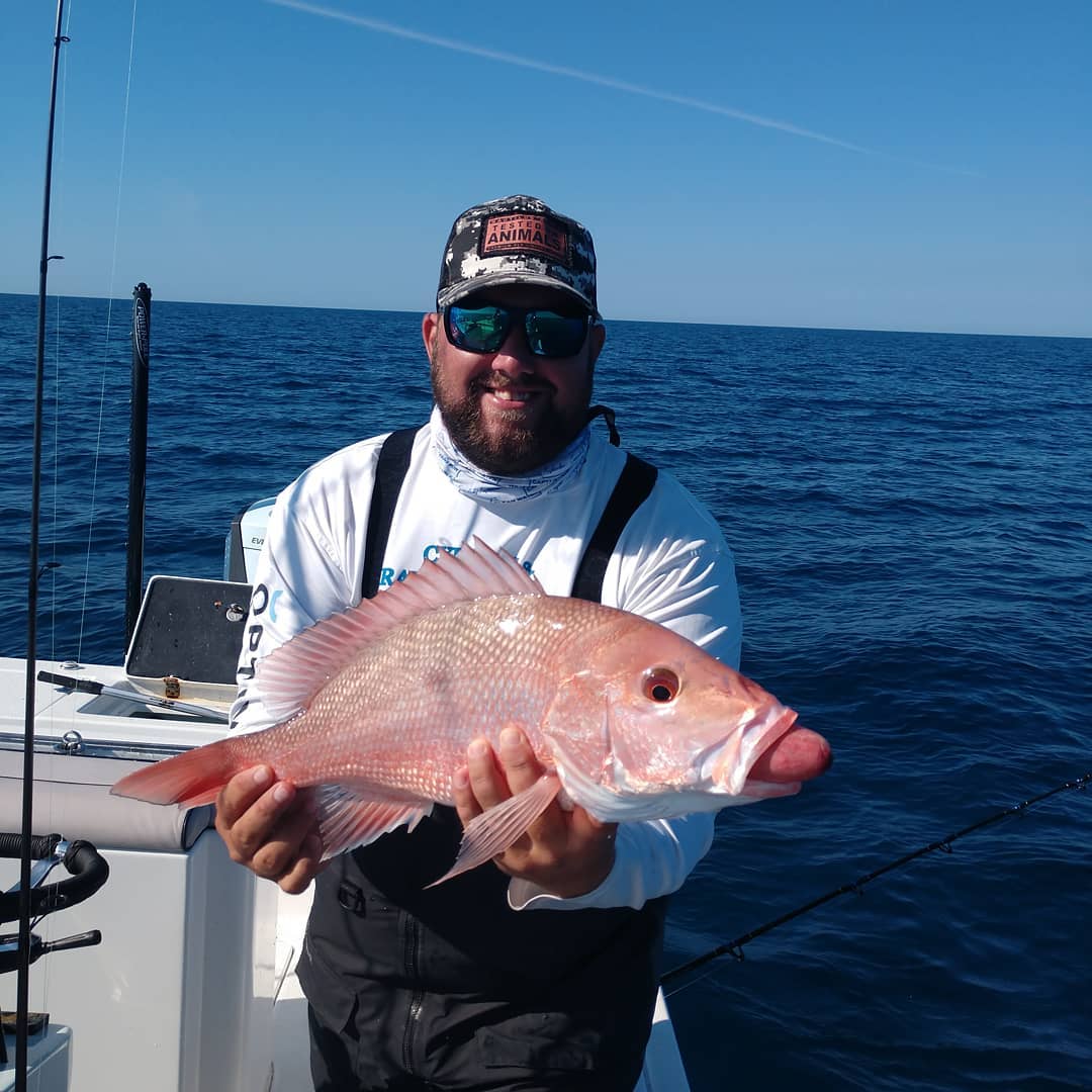 Red Snapper Fishing Charters in Tampa: Best Spots & Guides