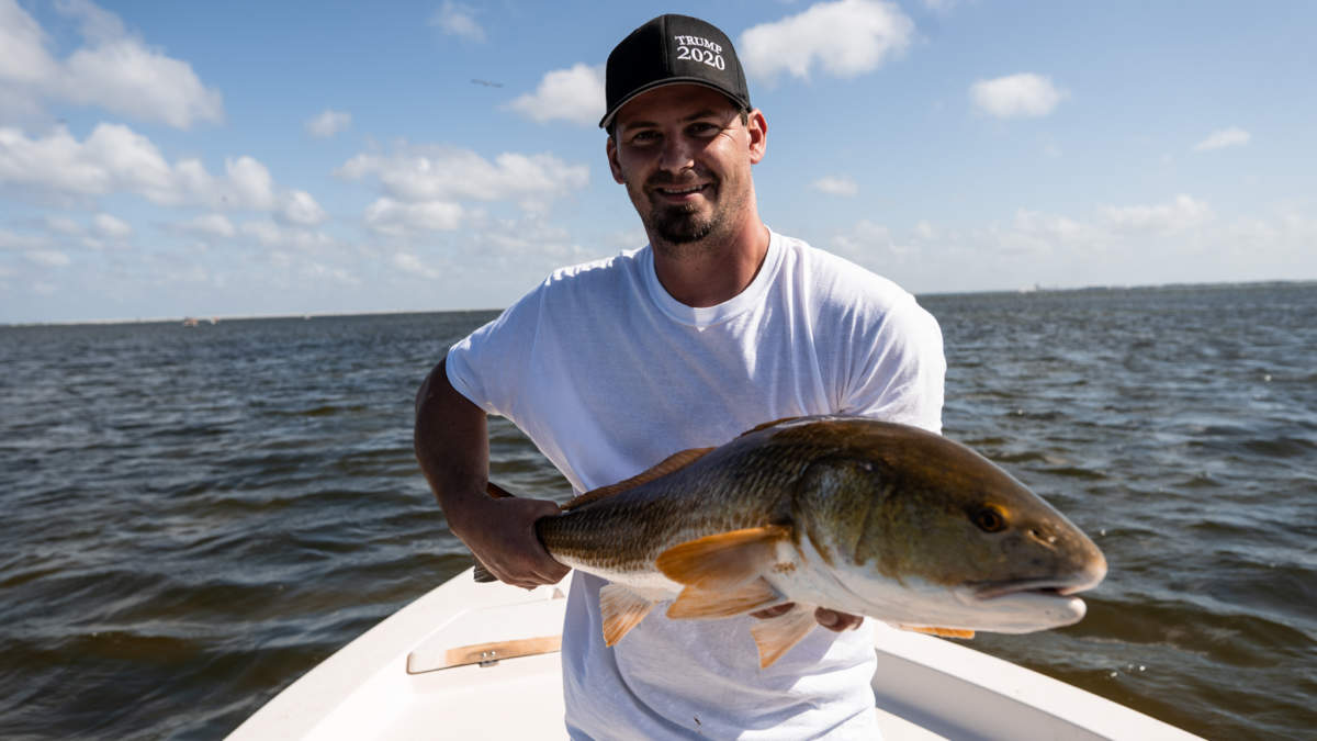 A picture of When To Catch Tampa’s Most Popular Species with Fishn Fl.