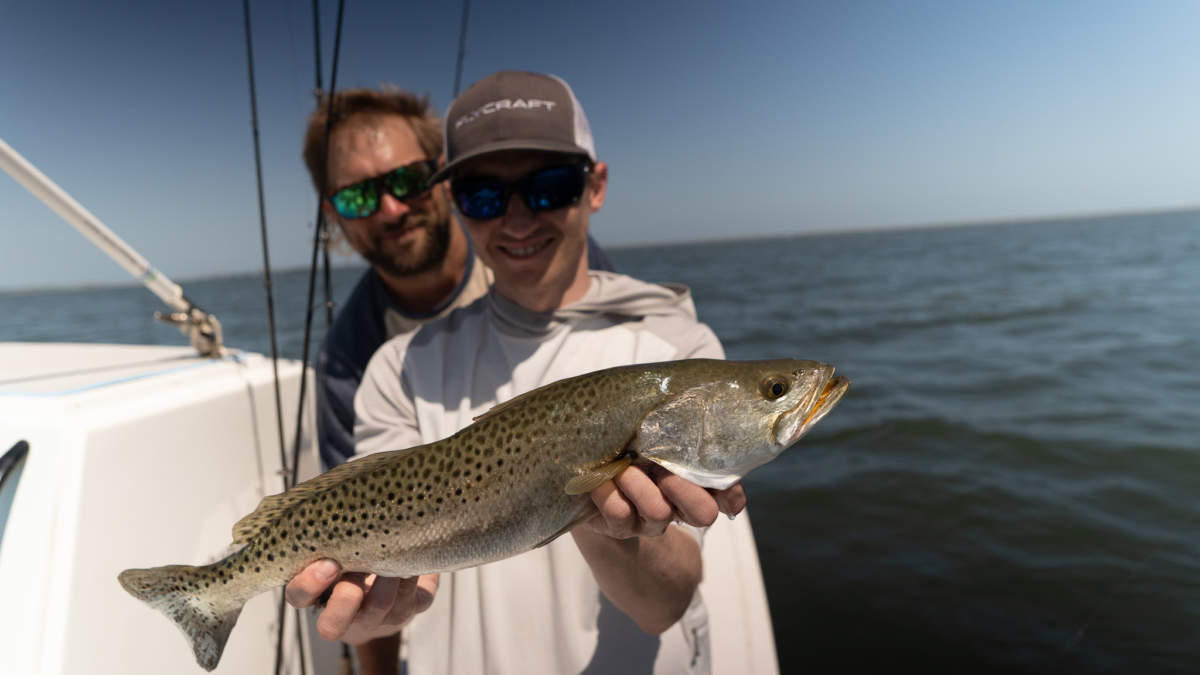 A picture of Late Summer Tampa Bay Fishing - What's Available? with Fishn Fl.