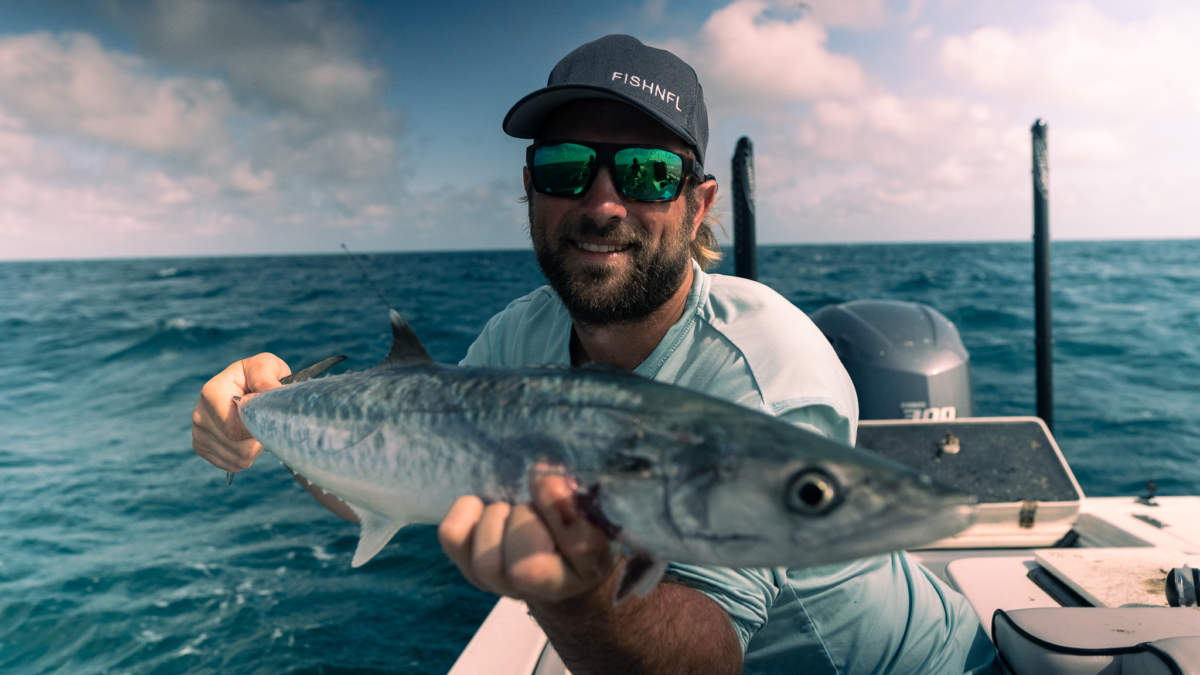 A picture of Species You Can Catch Offshore In Tampa Bay with Fishn Fl.