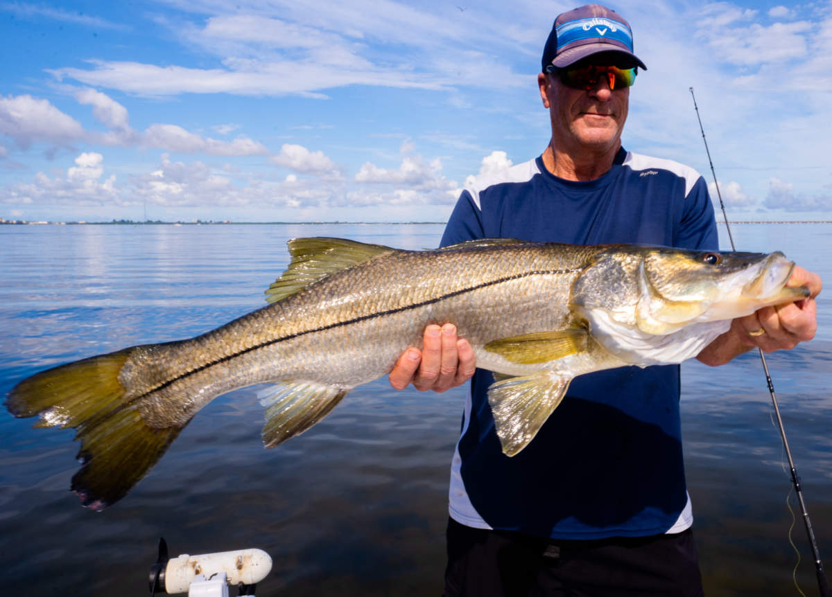 A picture of The Best Season For Snook Fishing In Tampa with Fishn Fl.