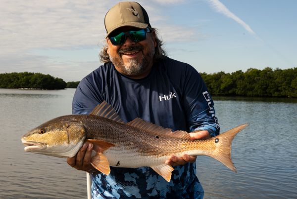 Snook & Reds Are Waking Up in Tampa Bay A picture of Snook & Reds Are Waking Up in Tampa Bay with Fishn Fl.