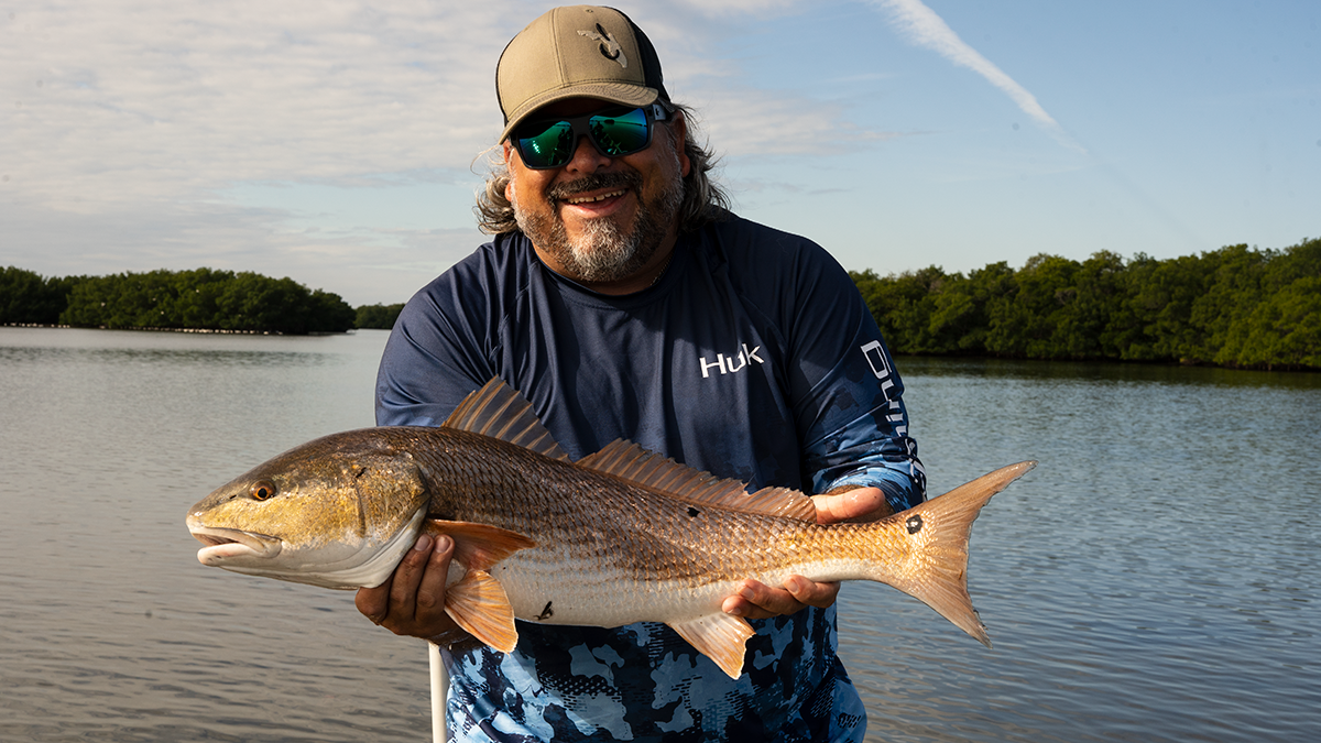 A picture of December Redfish In Tampa Bay with Fishn Fl.