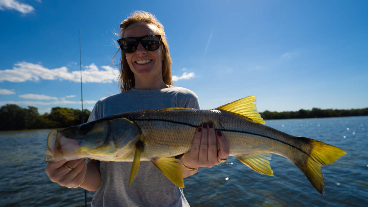 A picture of Hooking Some Fall Snook in the Bay with Fishn Fl.