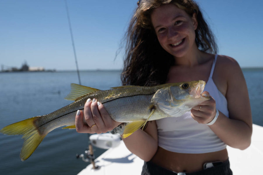 A picture of Hooking Some Fall Snook in the Bay with Fishn Fl.