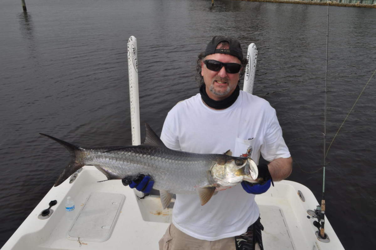 A picture of June Tampa Bay tarpon even in the wind with Fishn Fl.