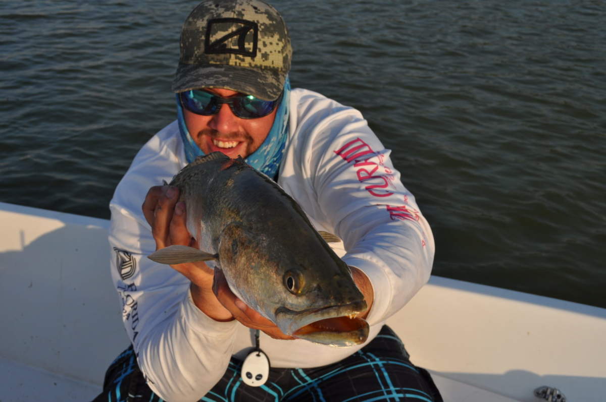 Tampa Fishing report 3-23-2014