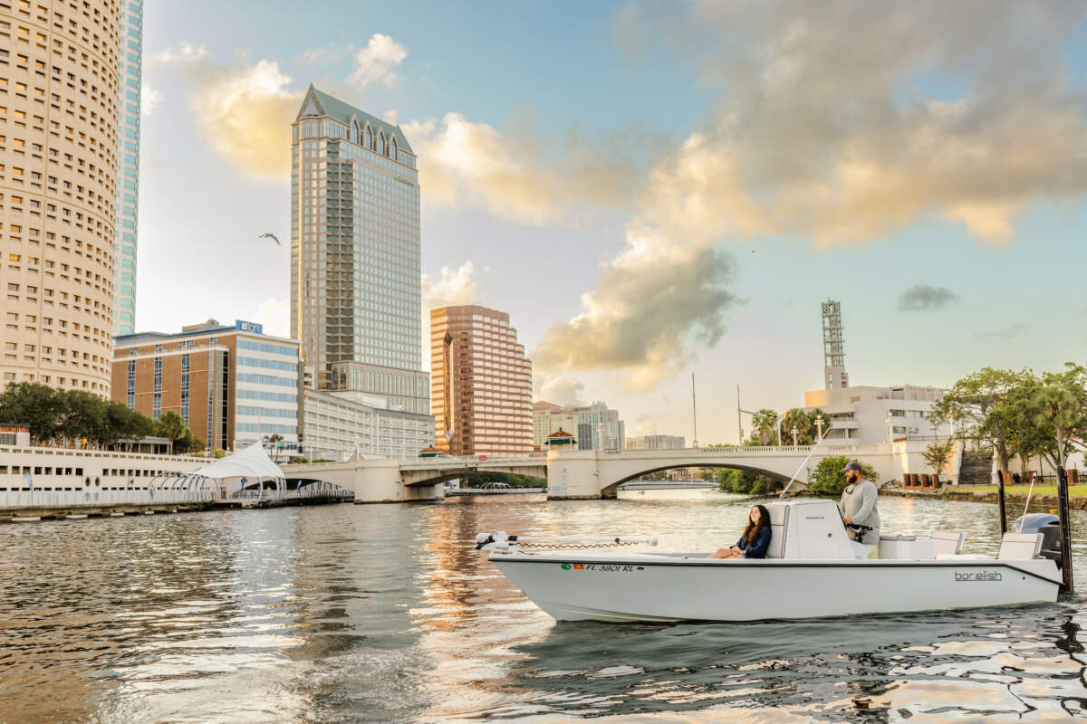 A picture of Unlocking Spring 2024 Inshore Fishing Secrets of Tampa Bay: A Guide to Snook and Redfish Success with Fishn Fl.