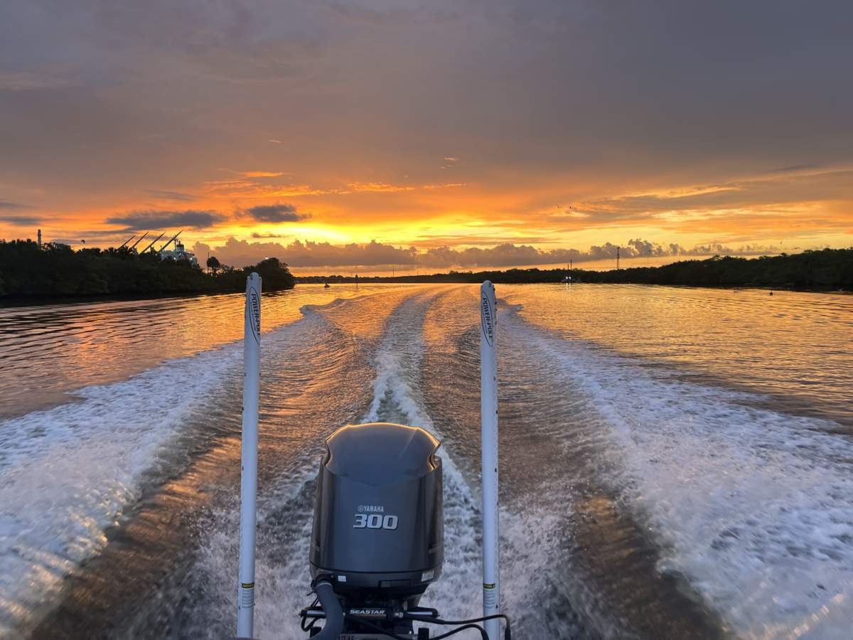 A picture of Tampa Fishing Charters: Everything You Need To Know with Fishn Fl.