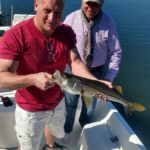 Snook fishing in Tampa with Capt. Jason Dozier