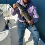 A picture of December 1, 2016 tampa fishing report with Fishn Fl.