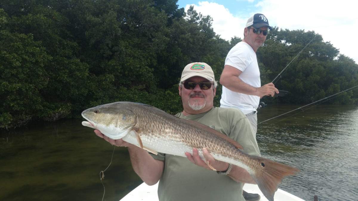 End Of April  Tampa fishing report