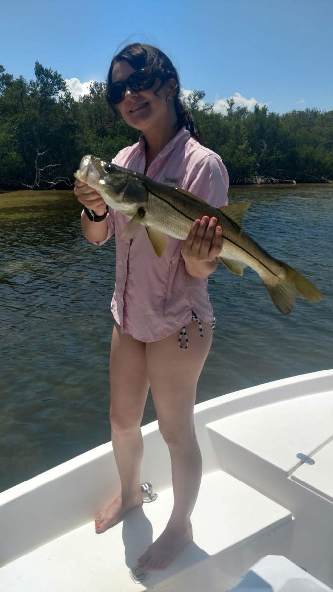 Tampa Tarpon Fishing Report