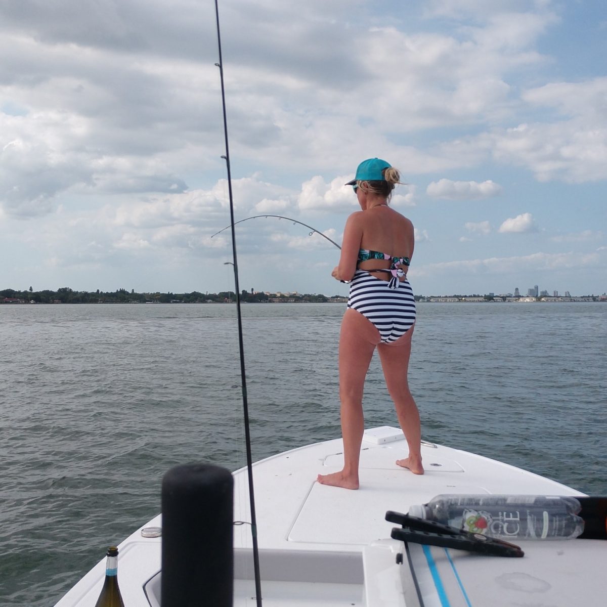 A picture of April 17th, 2018 tampa bay fishing report with Fishn Fl.