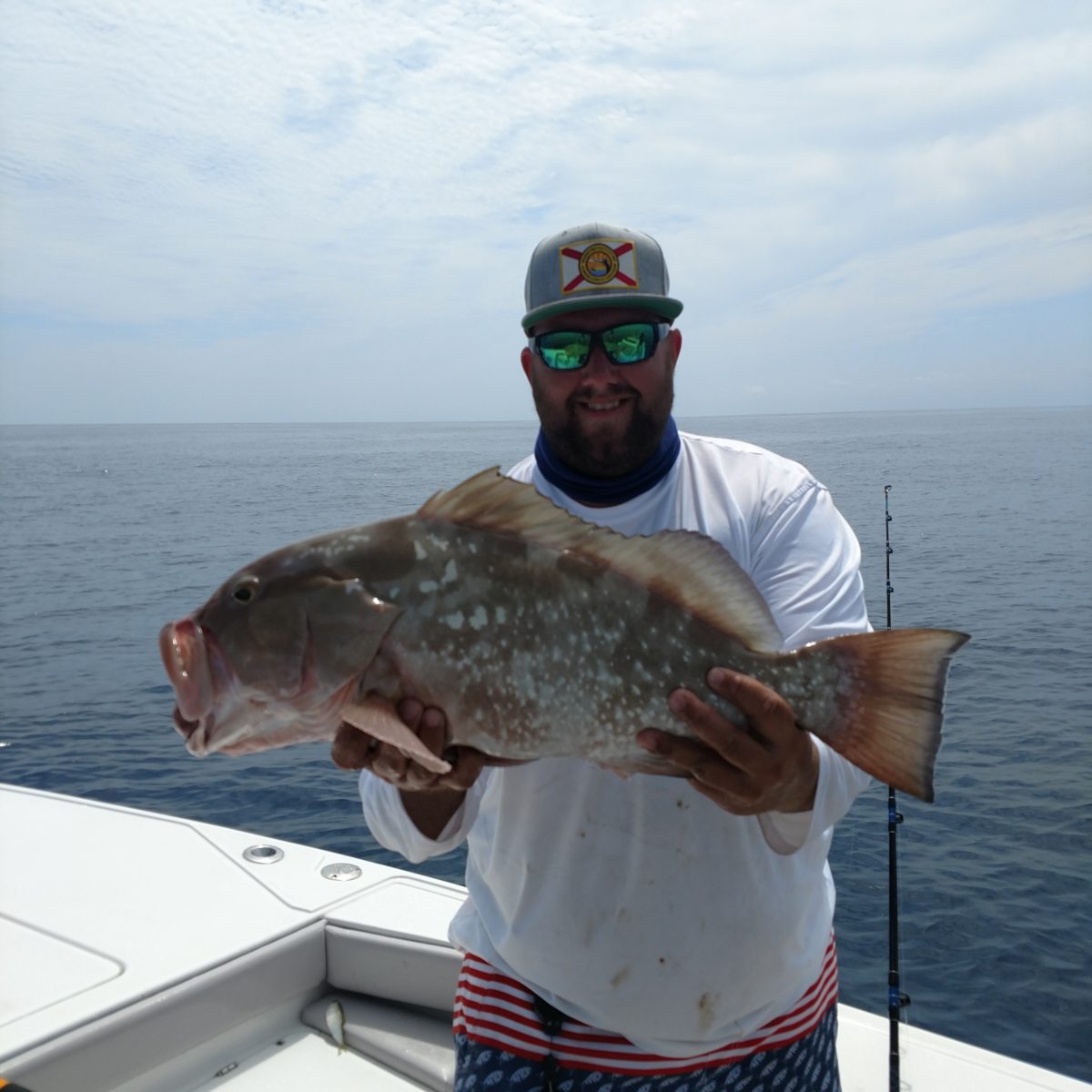 A picture of Tampa Fishing Charters: Everything You Need To Know with Fishn Fl.