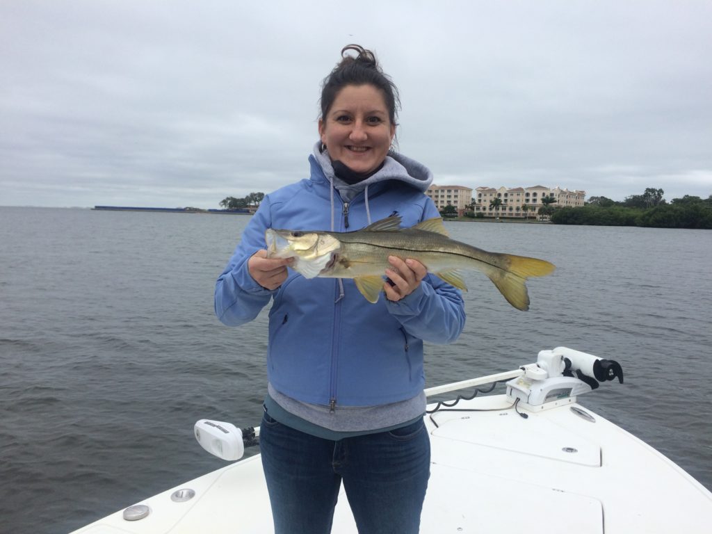 A picture of November 20th 2019 Tampa fishing report with Fishn Fl.