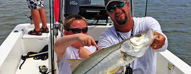 Tarpon aren’t the only thing biting fishing Tampa Bay in the Summertime!
