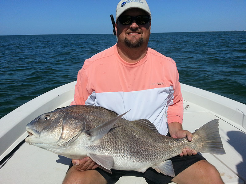 A picture of Tampa, St. Pete and Tarpon Springs Fishing Report with Fishn Fl.