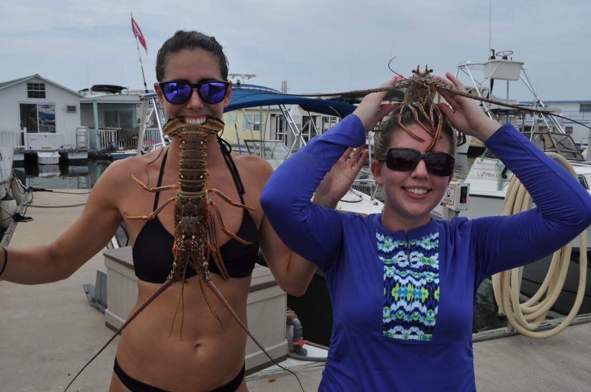 A picture of When is Mini-Lobster Season in Key West in 2023? with Fishn Fl.