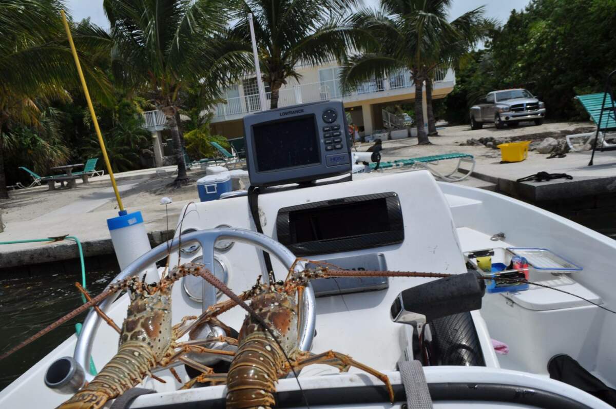A picture of When is Lobster Diving Season in the Keys 2023? with Fishn Fl.