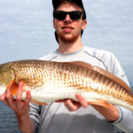 A picture of Catching just about everything on fishing charters in Tampa Bay right now. with Fishn Fl.