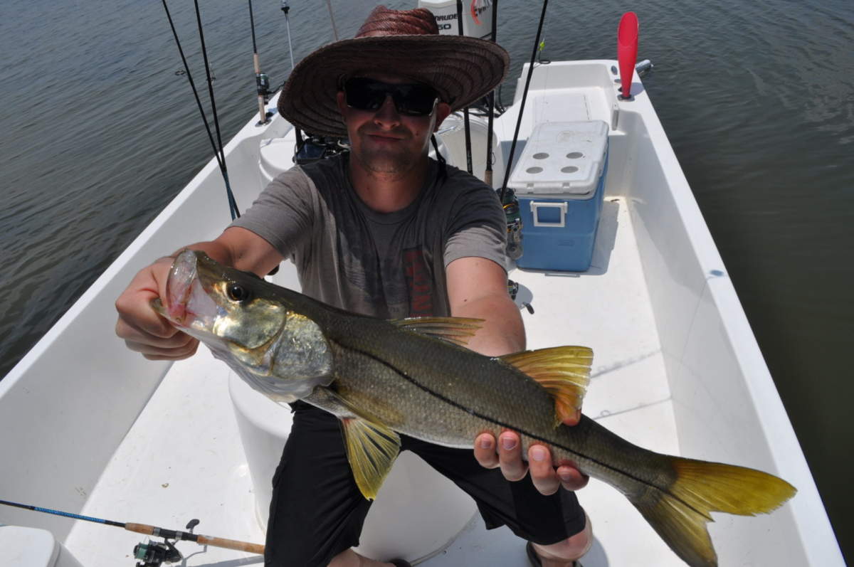 5-30-14 Tampa Bay fishing report
